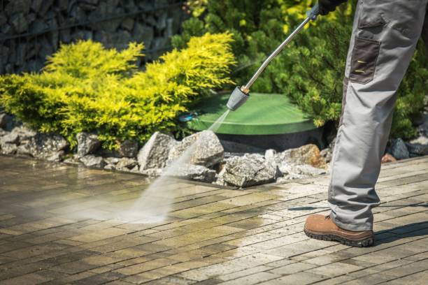 Best Driveway Cleaning and Restoration in Ellitt, CO
