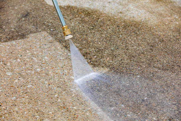 Best Vinyl Siding Pressure Washing in Ellitt, CO