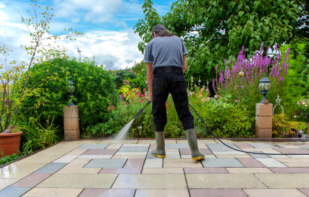 Best Soft Washing for Delicate Surfaces in Ellitt, CO